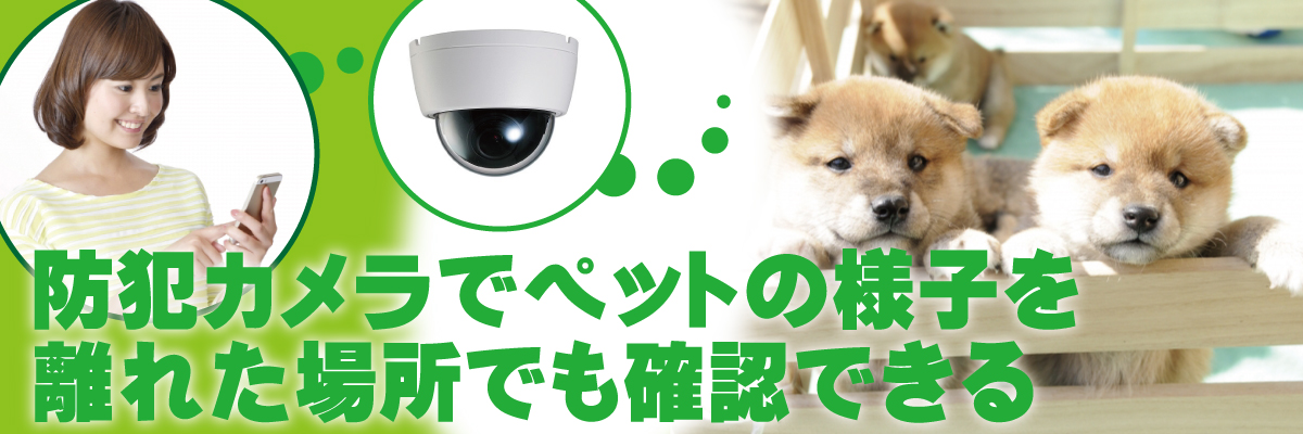 神戸防犯カメラセンター　防犯カメラでペットの安全を見守る1